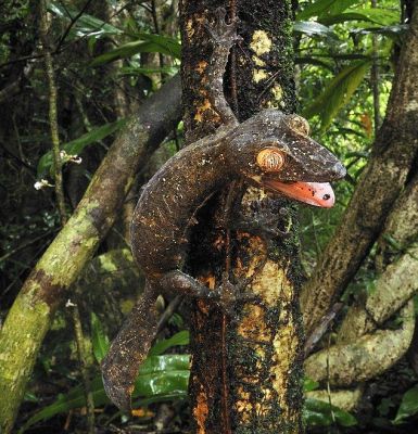 �ݸ�ȥ���09