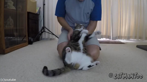 ������ݤ��ǭ03