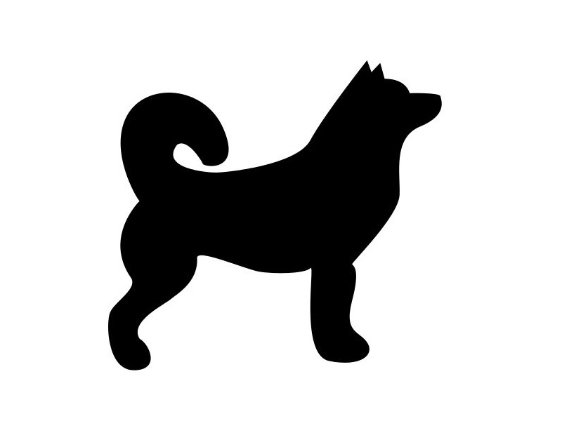 うちのハスキー犬の行動は 冬場になると誤解を受けやすい その理由がこちら らばq うちのハスキー犬の行動は 冬場になると誤解を受けやすい その理由がこちら らばq