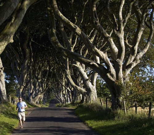 ザ・ダークヘッジ09