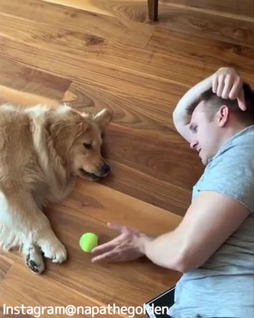 ����ʤˤ�뵤�Τʤ�����å��ܡ��븫�����Ȥʤ��ʾС�04