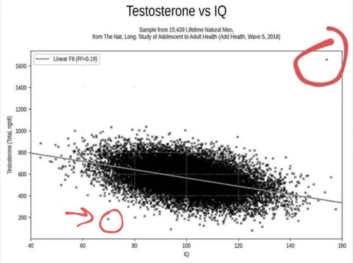�����ۥ�����̤�IQ�δط�02
