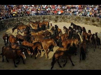 スペインの馬祭り00