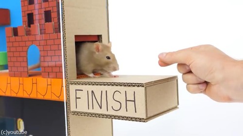 ڥåȤΤ˺äޥꥪϩ08