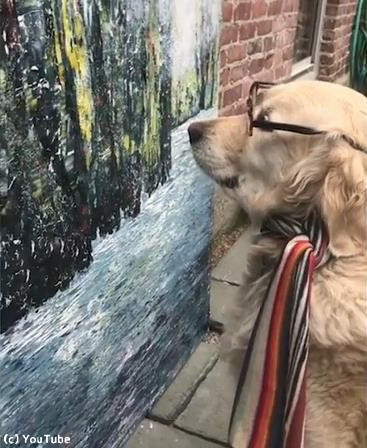 うちの犬は美術評論家03