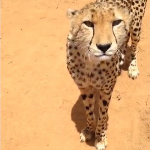 ����������ǭ�ʤ���05