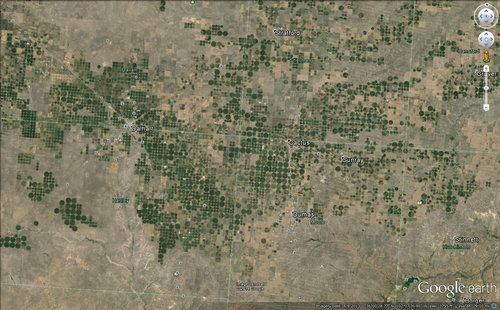 サウジアラビアの農場05
