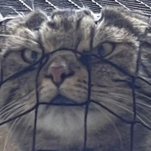 ����ǭ�˷����Ƥ��뵤������01