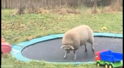 �ȥ��ݥ���ͷ����01