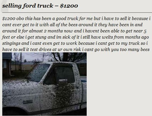 トラックが破格の理由01