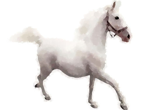 �Ϥ˾��ʤ�����Ӥ���Ѥ������åȤ��ڤ���00