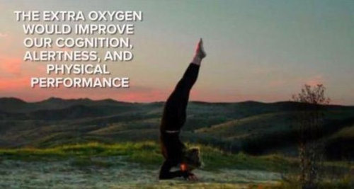 地球から酸素がなくなったら20