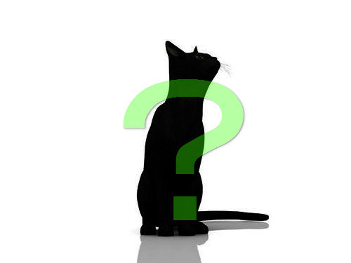 ǭ�֤Ĥ餤���Ȥ����ä���00