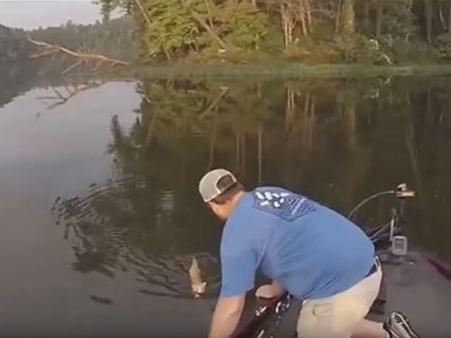 子猫が泳いできた04