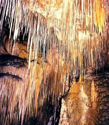 蘆笛岩(ろてきがん)01