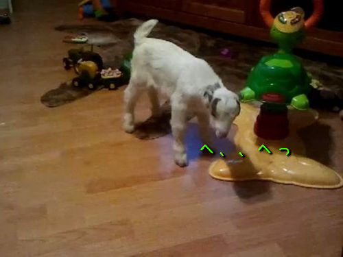 子ヤギのくしゃみ00