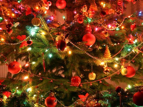 クリスマスと猫00