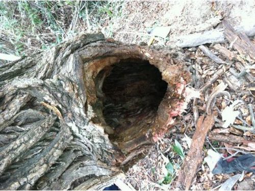 �ڤ˰��߹��ޤ줿����02