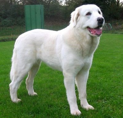 ������Ĺ16