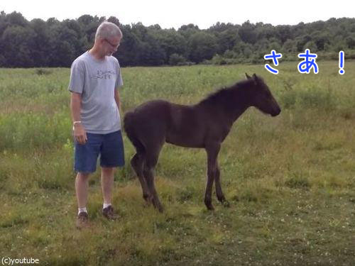 �����򥳥��祳���礷�Ƥۤ�������00