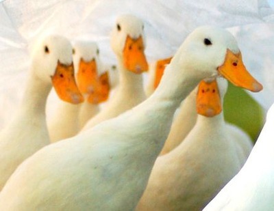 �ޥ���Υ����Х�04