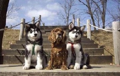 3ɤ�θ�����Ĺ03