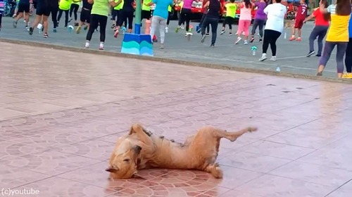 ���θ����ʹ֤Ȱ����٤äƤ��03