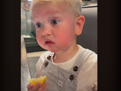生まれて初めてレモンにかぶりついた幼児…感想を述べる（動画）