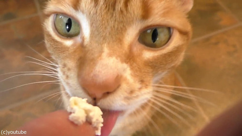 �ۥ��åץ��꡼��򰦤���ǭ06