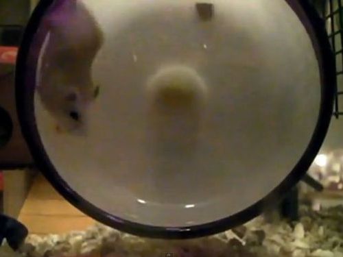 �ϥॹ�������ޤ����ͳ01