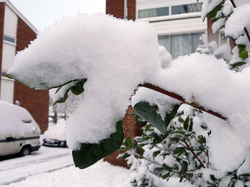 スキー場閉鎖＆雪だるま00