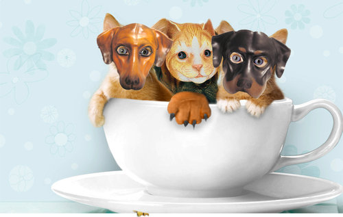 犬に猫マスク06