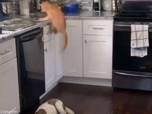 ��ǭ�����å��󥫥��󥿡��ξ�˾��ʤ��褦�ˤ�����ˡ��02
