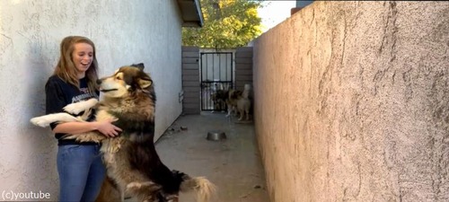 �������߸����礭�����ɤ���㤯����Ť���˷01