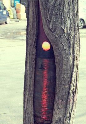 �ڤδ��˳�������������07