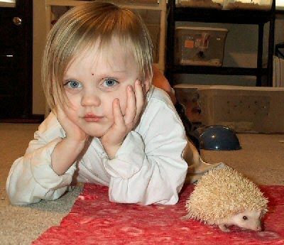 �Ҷ�����18