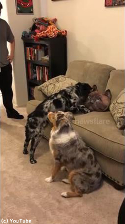 ǭ���å������ݤ��븤���襤��04