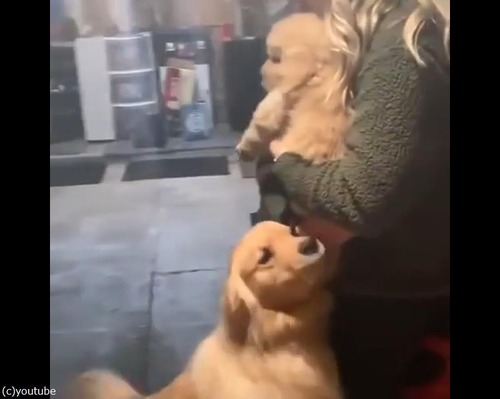 �������󥳤��紿�ޤ��르����ǥ��ȥ�С�03