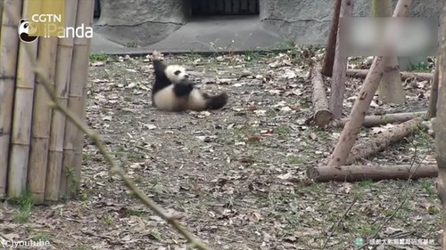 �����������դ���줿�ѥ���Ϥ����ʤ�05