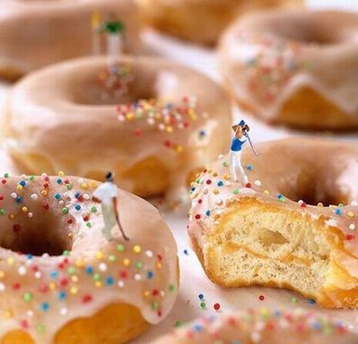 ����ʪ������¤�������ߥ˥��奢������04