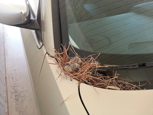 駐車してる間に03