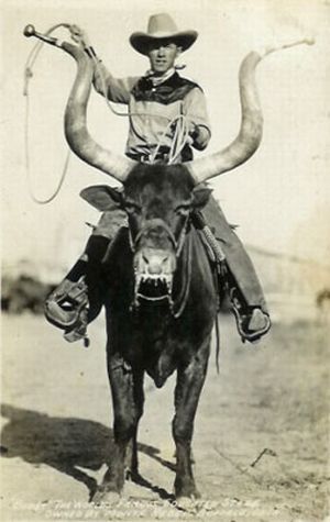 動物ライダー05