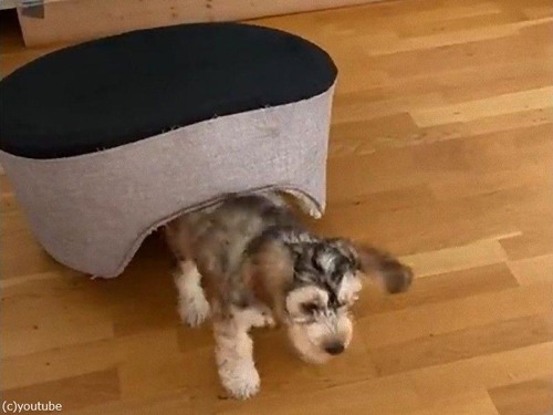 �����٥åɤ�դ��ˤ����03