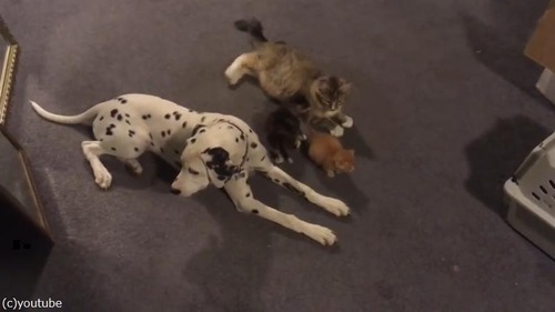 ���Ķ������²��01