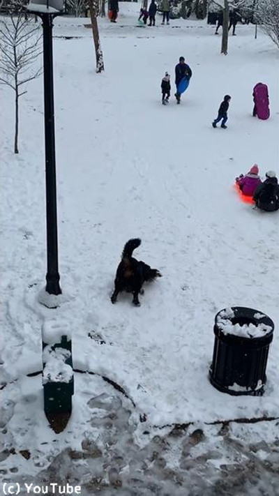 ��򰦤��Ƥ�ޤʤ��������01