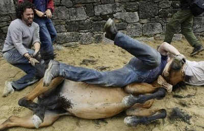 スペインの馬祭り11