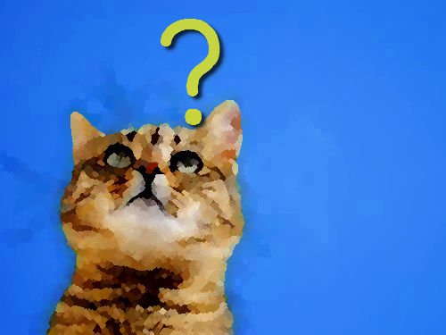 ������ǭ���뤫�鳰�򸫤�Τ�����00