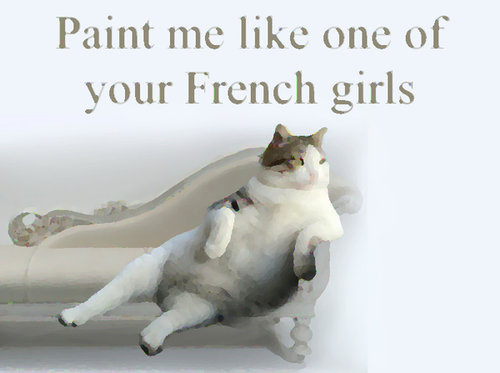 余裕のある猫07