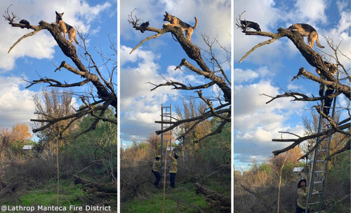 �����ѡ��ɤ��ڤ���ߤ���ʤ��ʤ�01