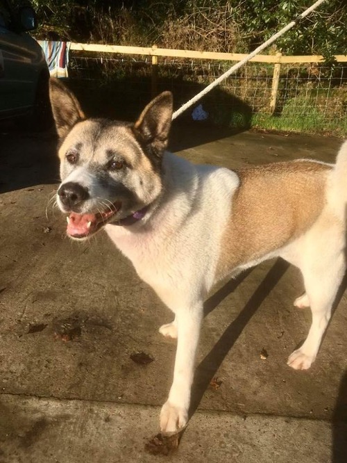 ���������θ�02